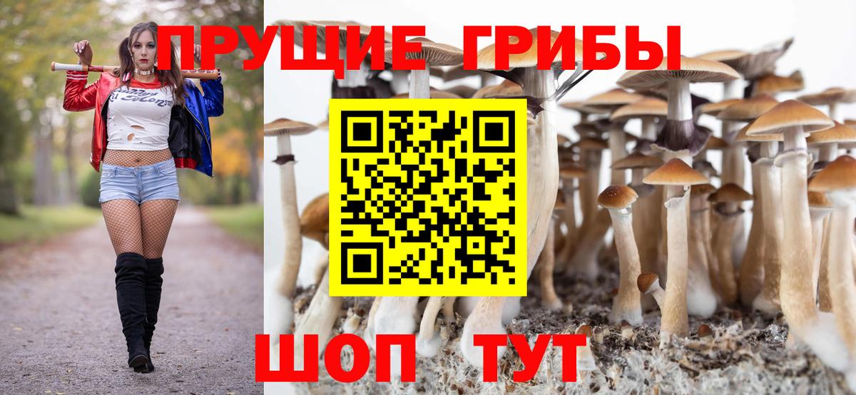 Галлюциногенные грибы прущие грибы  Галлюциногенные грибы Cubensis  Вход с VPN  Ирбит 