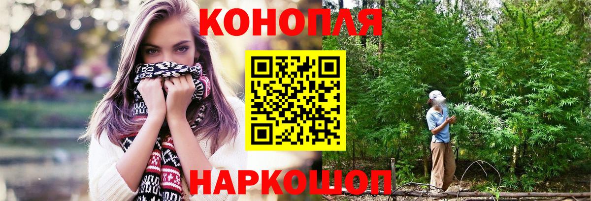 Бошки Шишки планчик  Вход с VPN  Ирбит  Канабис гибрид 